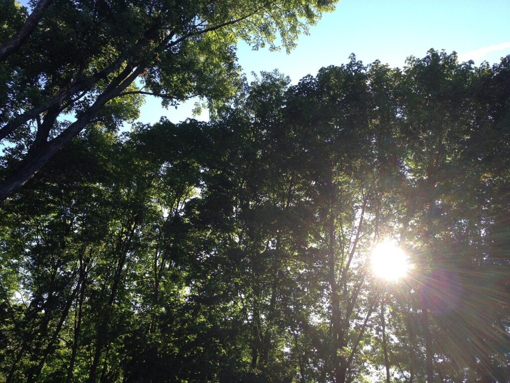 Detoxifying the Right Way : Holistic Pharmacist Tips – RX2Wellness holistic pharmacist in PA